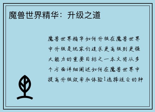 魔兽世界精华：升级之道